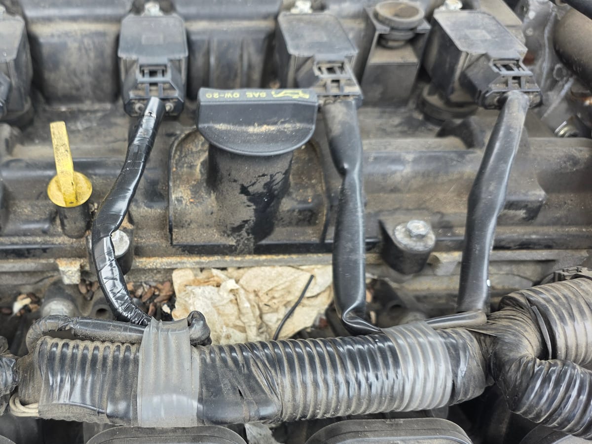 Droppings and shredded debris on top of an engine, beside the ignition coils, found during one of our inspections